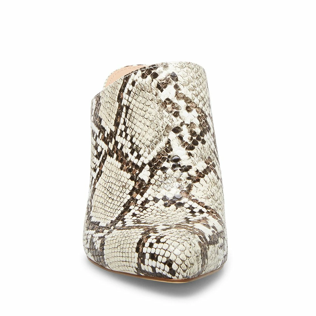 SteveMadden DITTY BLACK/WHITE SNAKE 5 SteveMadden DITTY BLACK/WHITE SNAKE - Image 3