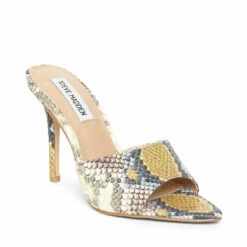 SteveMadden FEISTY SNAKE 9 SteveMadden FEISTY SNAKE -Steve Madden | Official Store STEVEMADDEN DRESS FEISTY SNAKE