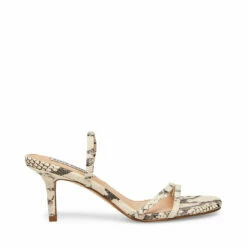 SteveMadden LOFT BEIGE SNAKE 14 SteveMadden LOFT BEIGE SNAKE -Steve Madden | Official Store STEVEMADDEN DRESS LOFT BEIGE SNAKE SIDE 2