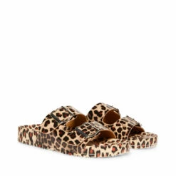 SteveMadden TEDDY-T LEOPARD -Steve Madden | Official Store STEVEMADDEN MADDEN GIRL TEDDY P LEOPARD