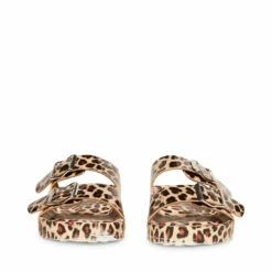 SteveMadden TEDDY-T LEOPARD -Steve Madden | Official Store STEVEMADDEN MADDEN GIRL TEDDY P LEOPARD FRONT