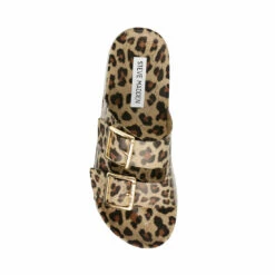 SteveMadden EVANNE LEOPARD -Steve Madden | Official Store STEVEMADDEN SANDALS EVANNE NEW LEOPARD TOP
