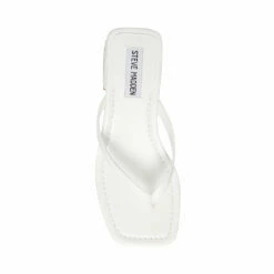 SteveMadden CLAUDETTE WHITE -Steve Madden | Official Store STEVEMADDEN SHOES CLAUDETTE WHITE TOP