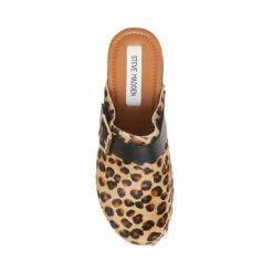 SteveMadden DANA-P LEOPARD -Steve Madden | Official Store STEVEMADDEN SHOES DANA P LEOPARD TOP