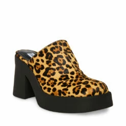 SteveMadden KAM LEOPARD -Steve Madden | Official Store STEVEMADDEN SHOES KAM LEOPARD