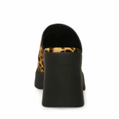 SteveMadden KAM LEOPARD -Steve Madden | Official Store STEVEMADDEN SHOES KAM LEOPARD BACK