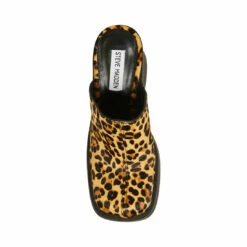 SteveMadden KAM LEOPARD -Steve Madden | Official Store STEVEMADDEN SHOES KAM LEOPARD TOP