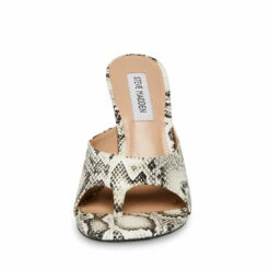 SteveMadden KARINA SNAKE -Steve Madden | Official Store STEVEMADDEN SHOES KARINA SNAKE FRONT