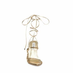 SteveMadden WHITNEY GOLD SNAKE -Steve Madden | Official Store STEVEMADDEN SHOES WHITNEY GOLD SNAKE FRONT