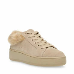 SteveMadden BRENNER TAN MULTI -Steve Madden | Official Store STEVEMADDEN SNEAKERS BRENNER TAN SUEDE NEW