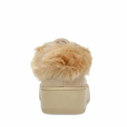 SteveMadden BRENNER TAN MULTI -Steve Madden | Official Store STEVEMADDEN SNEAKERS BRENNER TAN SUEDE NEW BACK