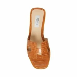 SteveMadden HADYN COGNAC MULTI 13 SteveMadden HADYN COGNAC MULTI -Steve Madden | Official Store STEVEMADDEN STEVEN HADYN COGNAC CROCO TOP
