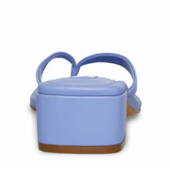 SteveMadden CLAUDETTE PERIWINKLE -Steve Madden | Official Store STEVEMADDEN SHOES CLAUDETTE PERRIWINKLE BACK