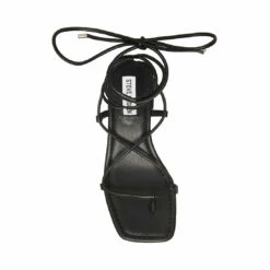 SteveMadden CLAREMONT BLACK -Steve Madden | Official Store STEVEMADDEN SHOES CLAUS BLACK TOP