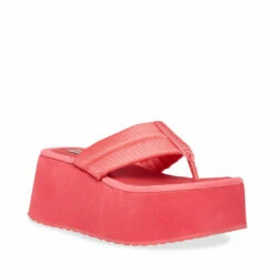 STEVEMADDEN CONTEMPO PINK -Steve Madden | Official Store STEVEMADDEN SHOES CONTEMPO PINK
