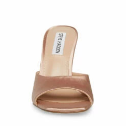 SteveMadden MOLLY DARK TAN -Steve Madden | Official Store STEVEMADDEN SHOES MOLLY DARK TAN FRONT
