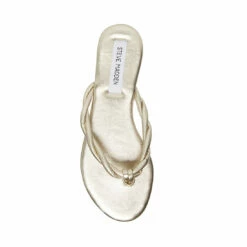 SteveMadden SAYLOR GOLD -Steve Madden | Official Store STEVEMADDEN SHOES SAYLOR GOLD TOP