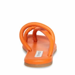 SteveMadden TROPIC ORANGE -Steve Madden | Official Store STEVEMADDEN SHOES TROPIC ORANGE BACK